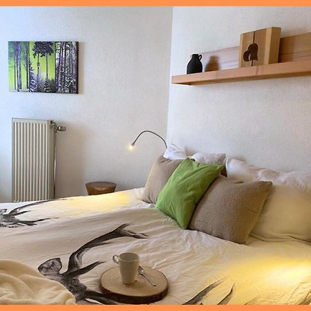 Baechle Im Wanderparadies Balkon Mit Blick Auf Den Bach Sauna Im Haus Tiefgarage E-Ladestation Todtnauberg Eksteriør bilde