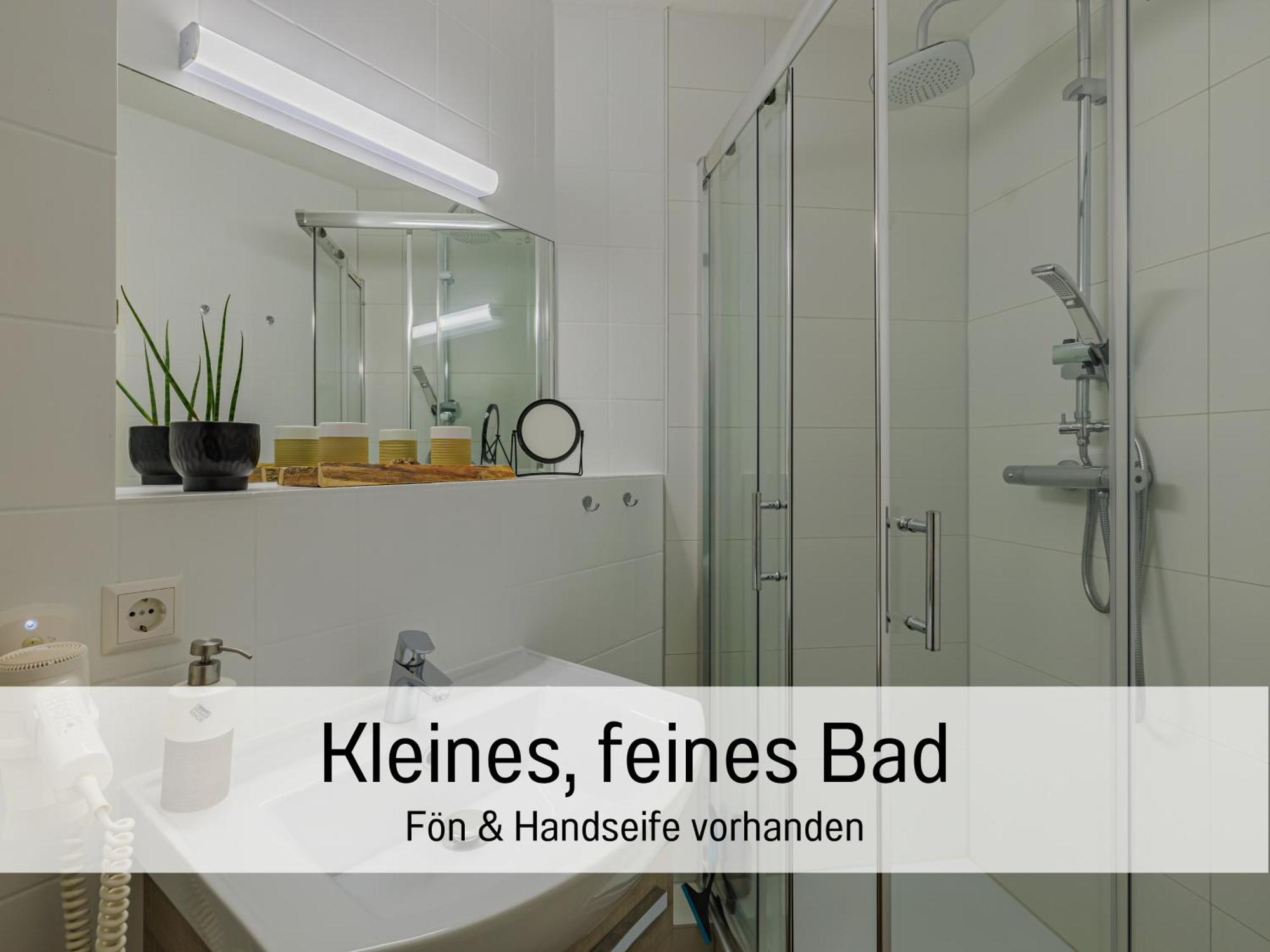 Baechle Im Wanderparadies Balkon Mit Blick Auf Den Bach Sauna Im Haus Tiefgarage E-Ladestation Todtnauberg Eksteriør bilde