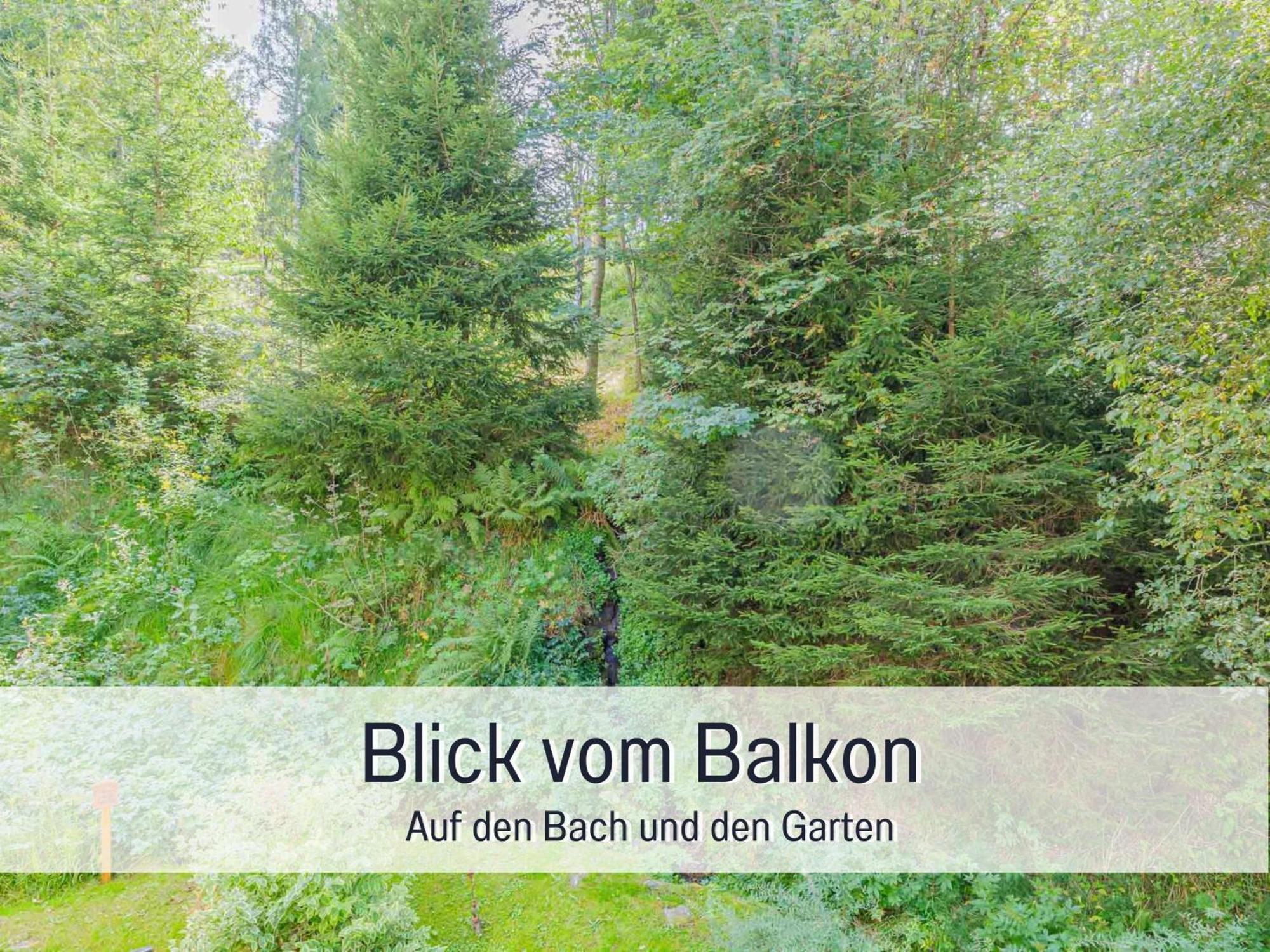 Baechle Im Wanderparadies Balkon Mit Blick Auf Den Bach Sauna Im Haus Tiefgarage E-Ladestation Todtnauberg Eksteriør bilde