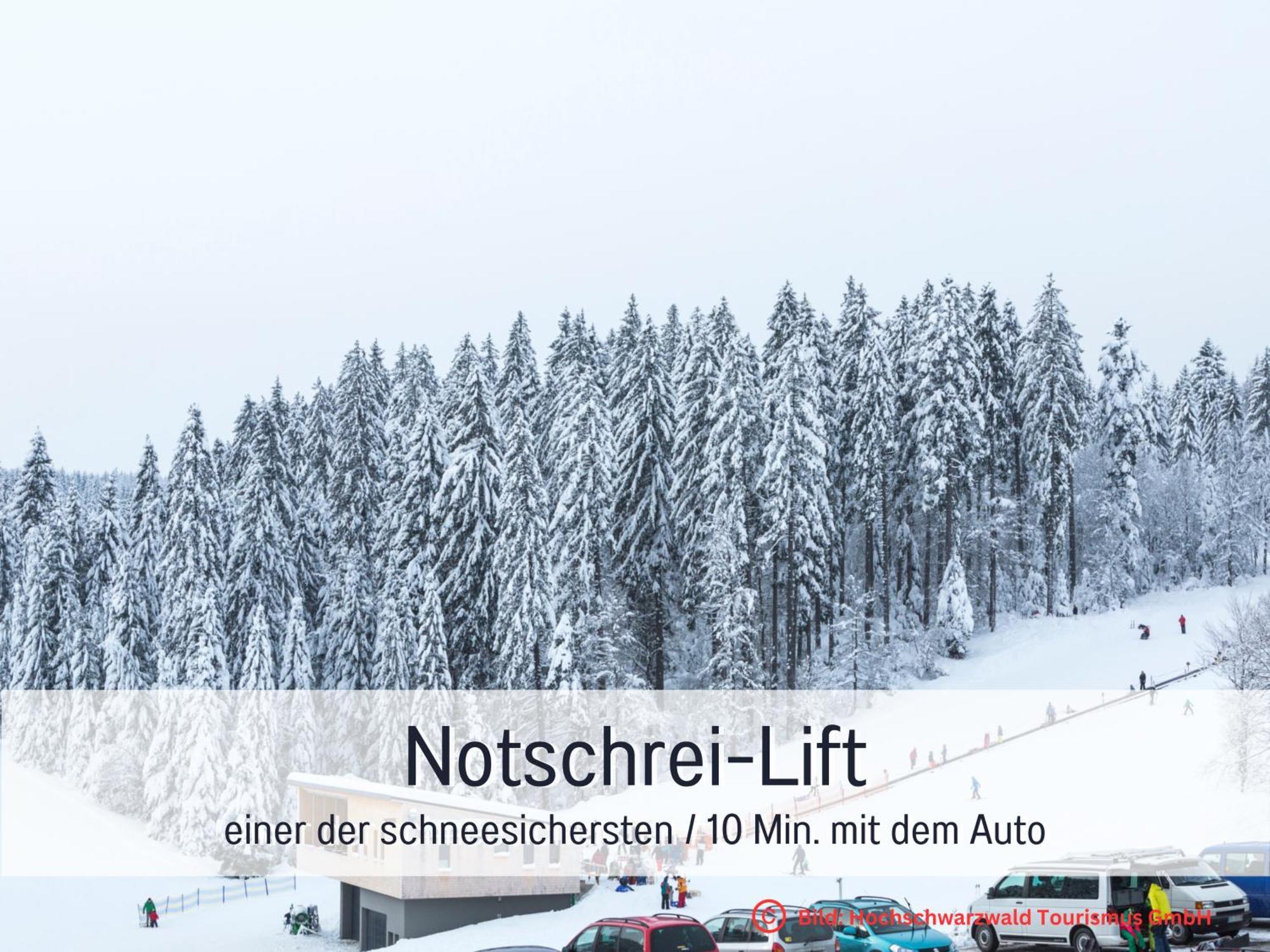 Baechle Im Wanderparadies Balkon Mit Blick Auf Den Bach Sauna Im Haus Tiefgarage E-Ladestation Todtnauberg Eksteriør bilde