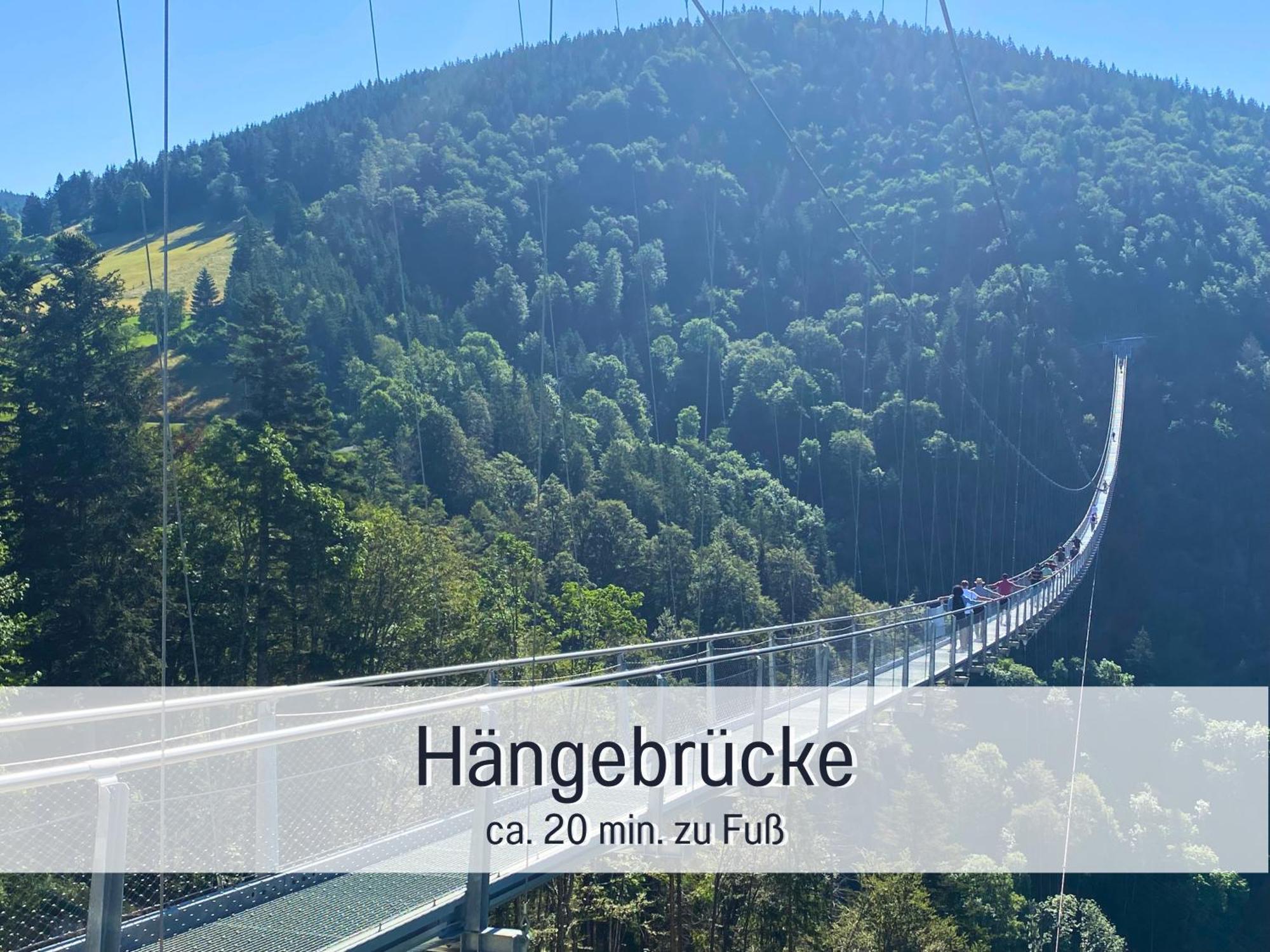 Baechle Im Wanderparadies Balkon Mit Blick Auf Den Bach Sauna Im Haus Tiefgarage E-Ladestation Todtnauberg Eksteriør bilde